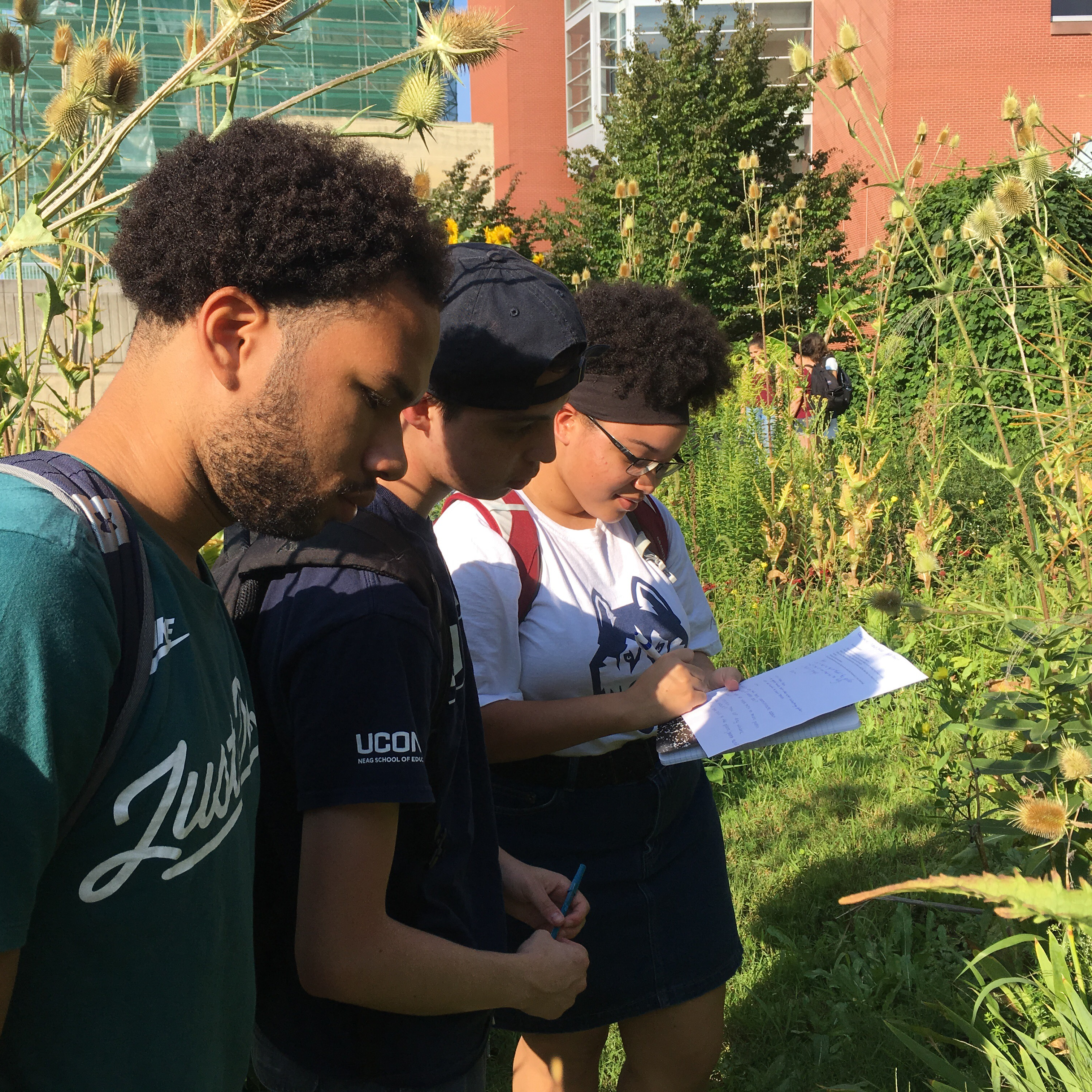 students observing animal behavior in the field