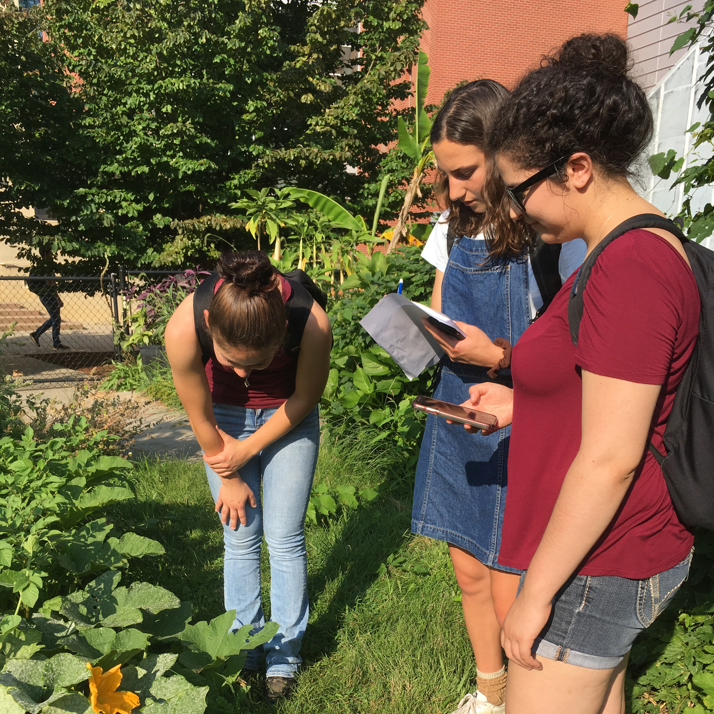 students observing animal behavior in the field