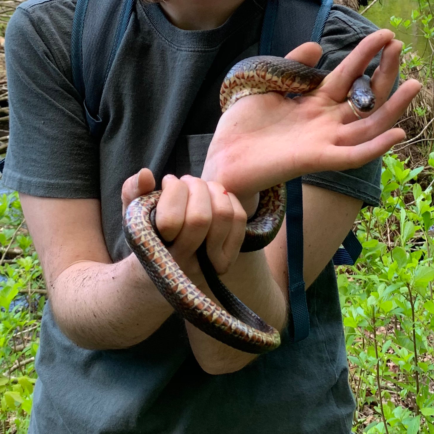 student holding a snake