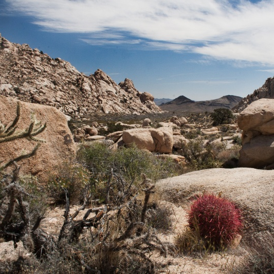 mojave desert