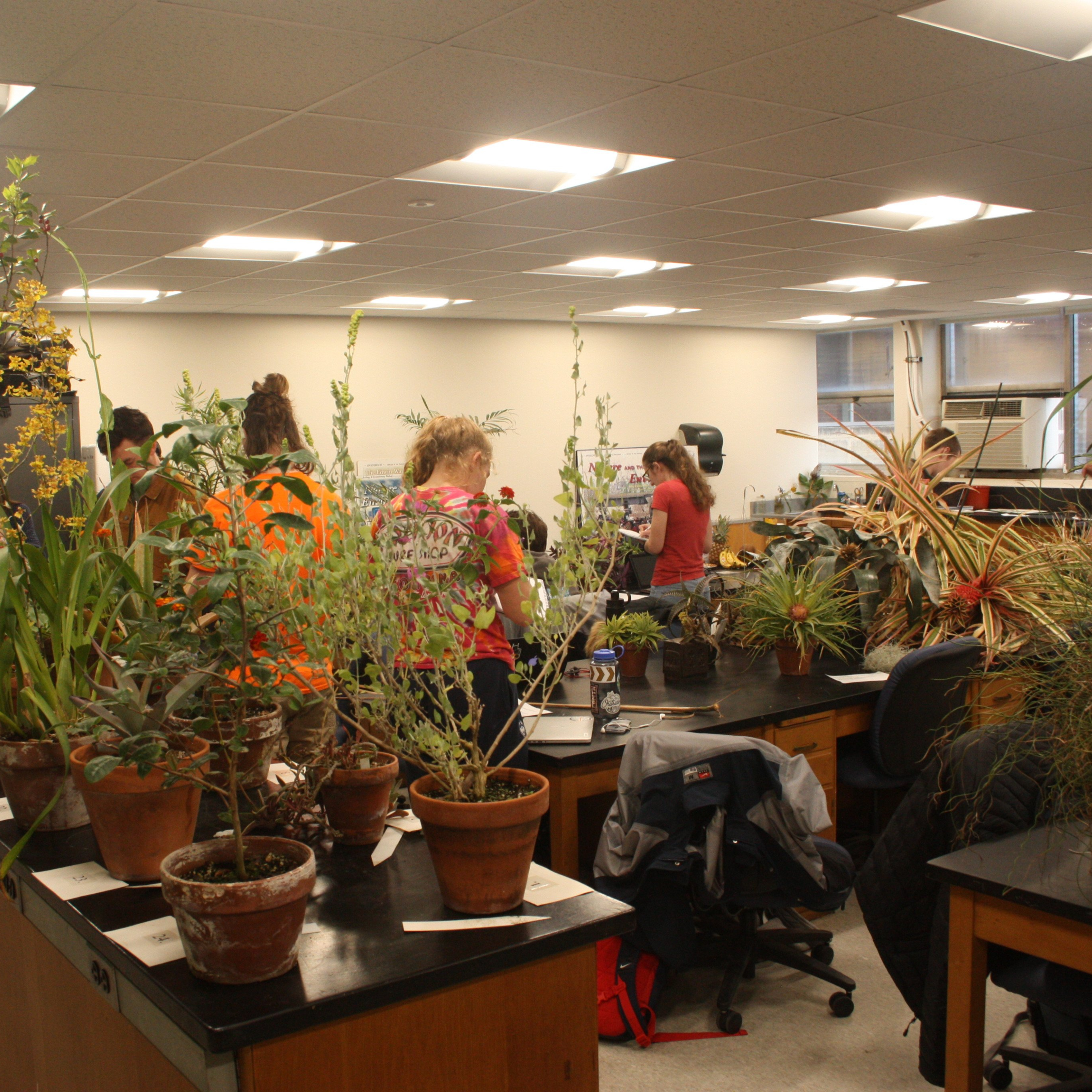 systematic botany classroom with plants