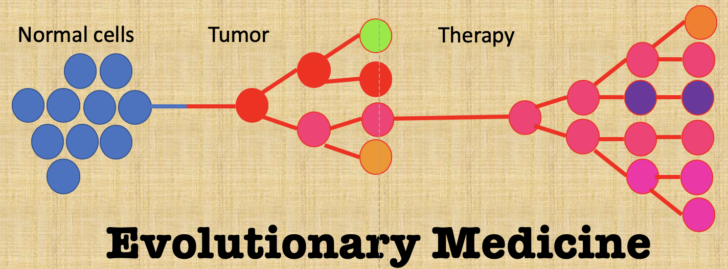 evolutionary medicine