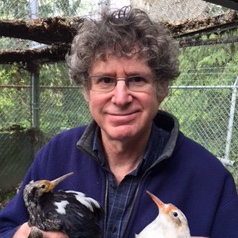 Photo of Dov Lank