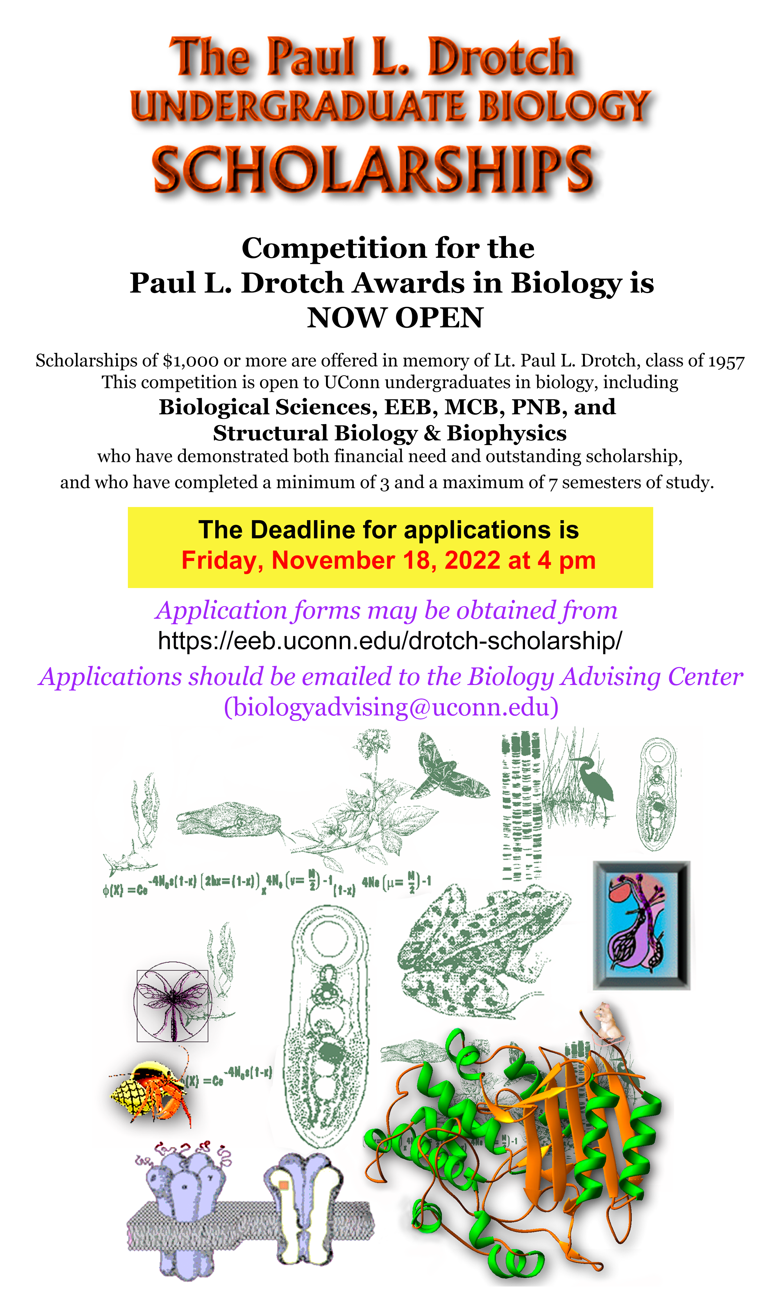 Paul L. Drotch Undergraduate Biology Scholarship. Download application form from this page, fill it out, and send to biologyadvising@uconn.edu.